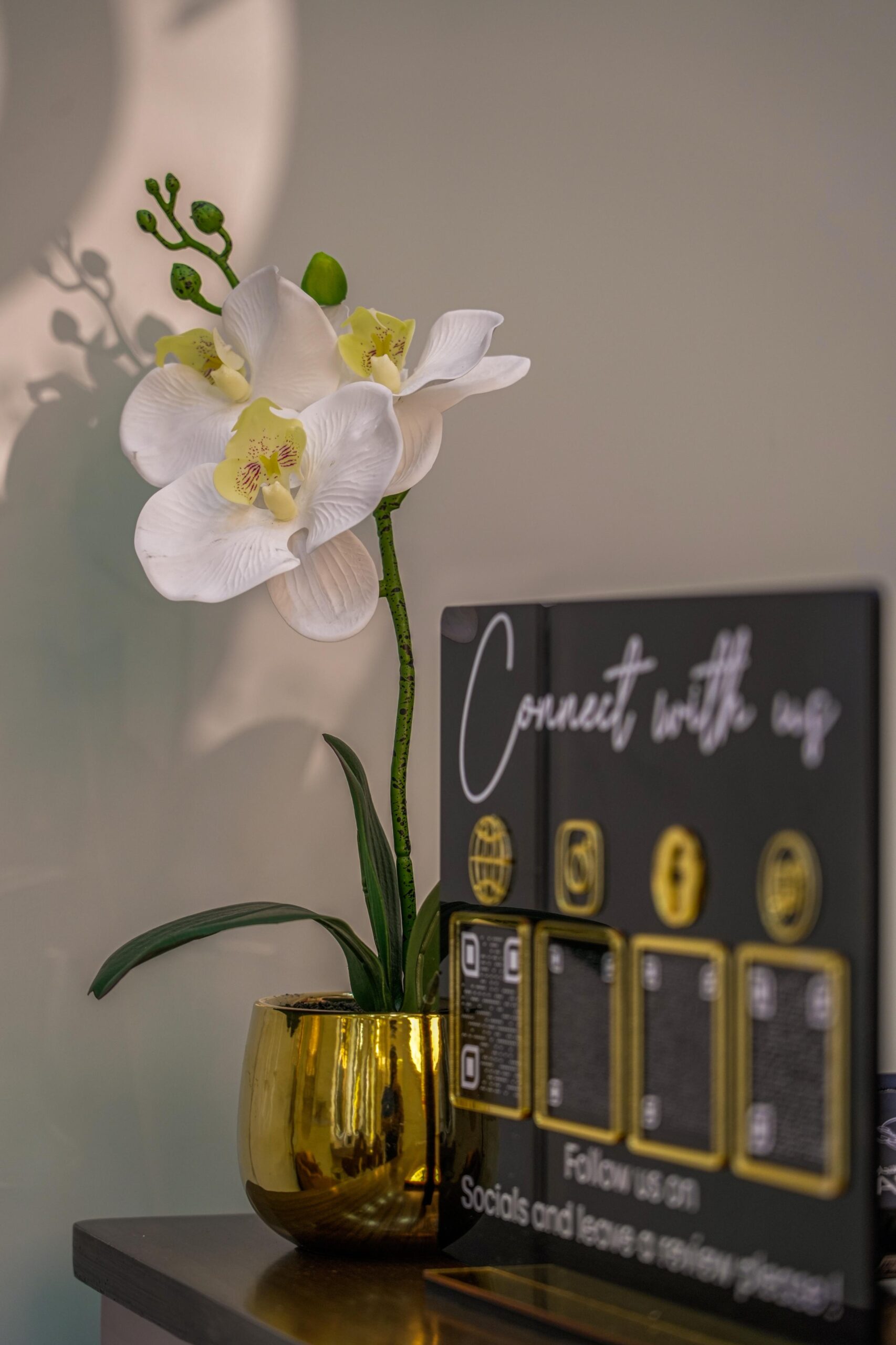 whatsapp image 2025 12 04 at 1.15.14 pm